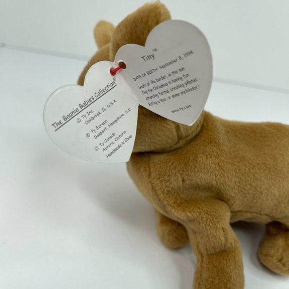 Ty Beanie Babies Tiny the Chihuahua Dog 5" With Tags Sep 8 1998 - Picture 4 of 5